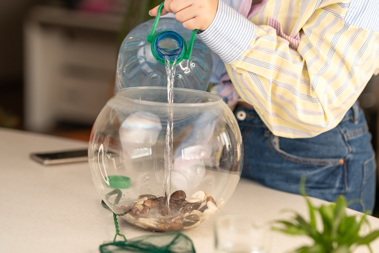Fish Dying After Water Change? The 5 Mistakes That Cause It