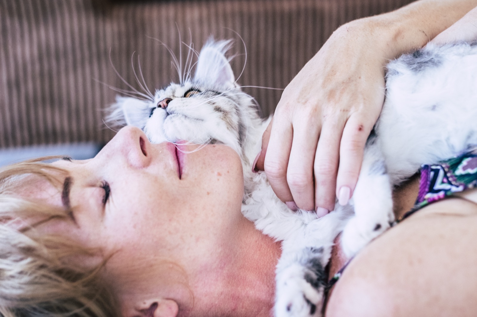 Why Does My Cat Sleep So Much? Normal Cat Sleep vs. Red-Flag Lethargy