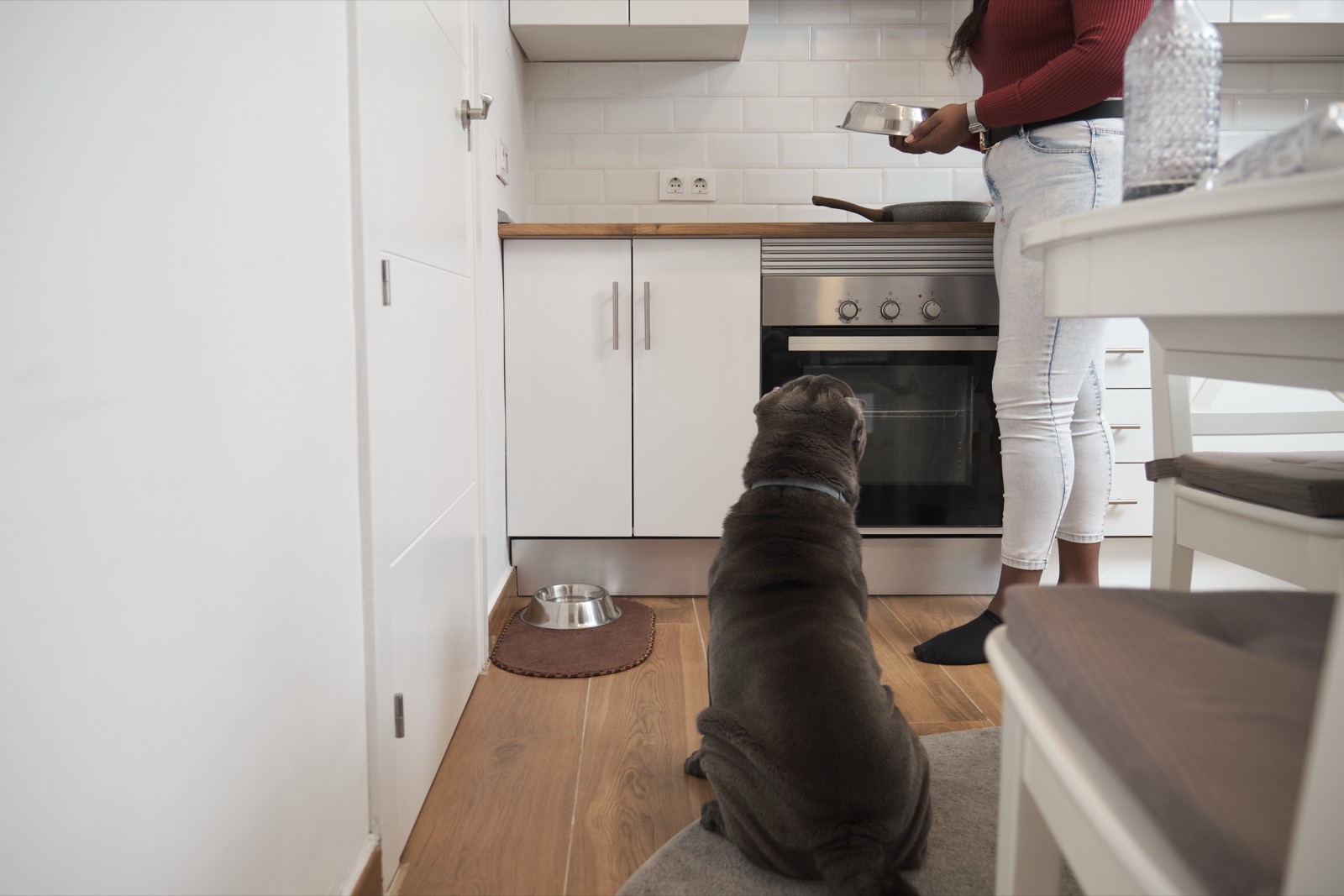 Why Does My Dog Eat Grass? The 4 Real Reasons and When to Worry